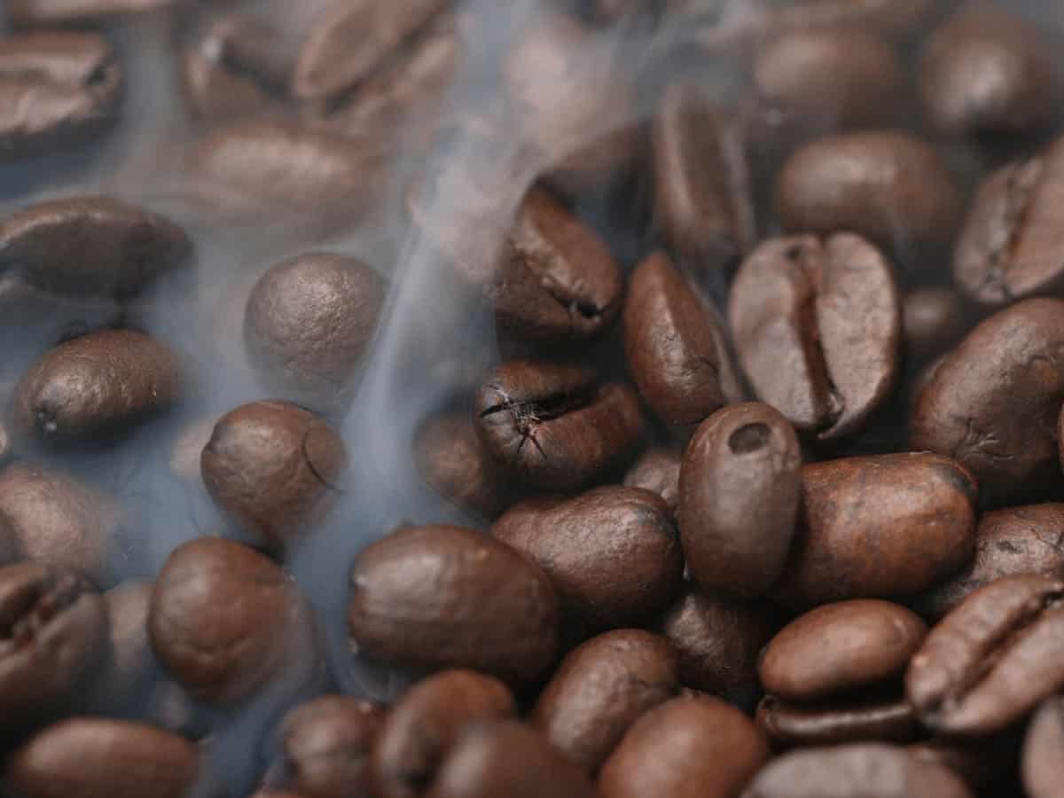 Los 9 Mejores Café en Grano Calidad-Precio 2022 | Comparativa y guía